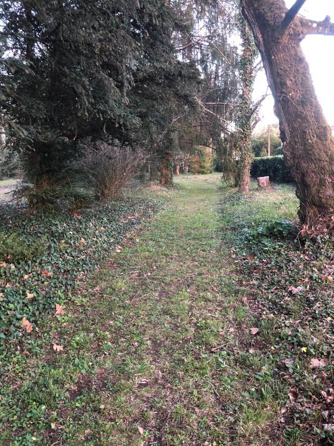 La Maison Au Cedre Marsac-sur-l'Isle ภายนอก รูปภาพ